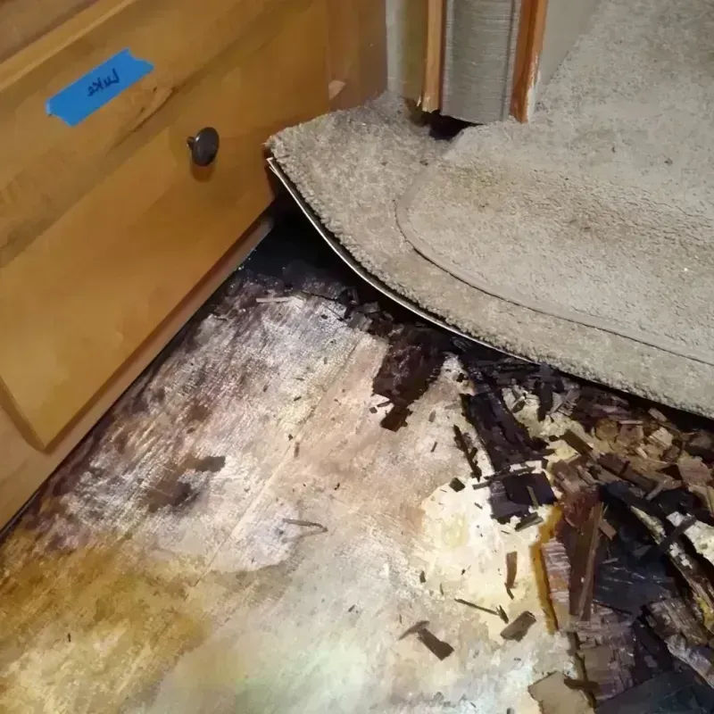 Wood Floor Water Damage in Colby, KS